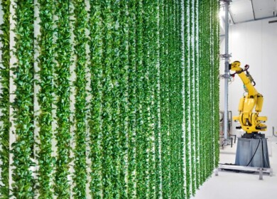 Vertical farming startup Plenty filed for bankruptcy despite raising $1 billion from SoftBank, Walmart and Jeff Bezos