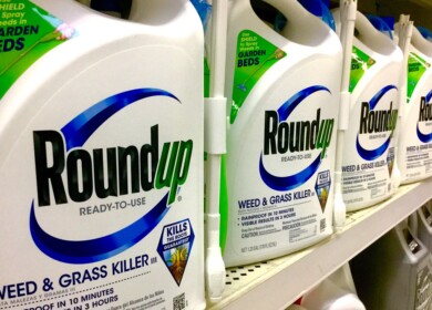 Experts debate the safety of glyphosate-treated plants in food production