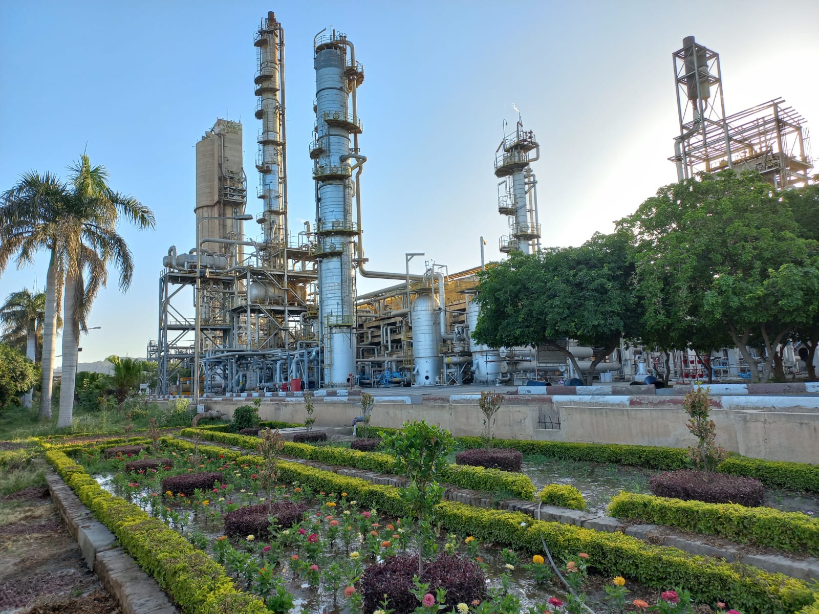 Agritech reports robust financial results for 2024