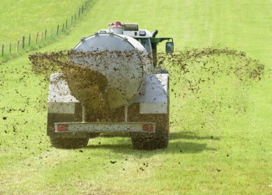 Environmental group warns of widespread health risks from unregulated livestock pollution