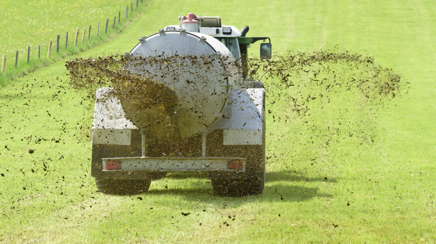 Environmental group warns of widespread health risks from unregulated livestock pollution