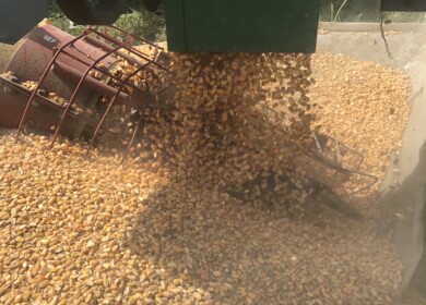 Bunge divests North American corn milling assets to Grain Craft