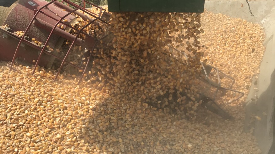 Bunge divests North American corn milling assets to Grain Craft