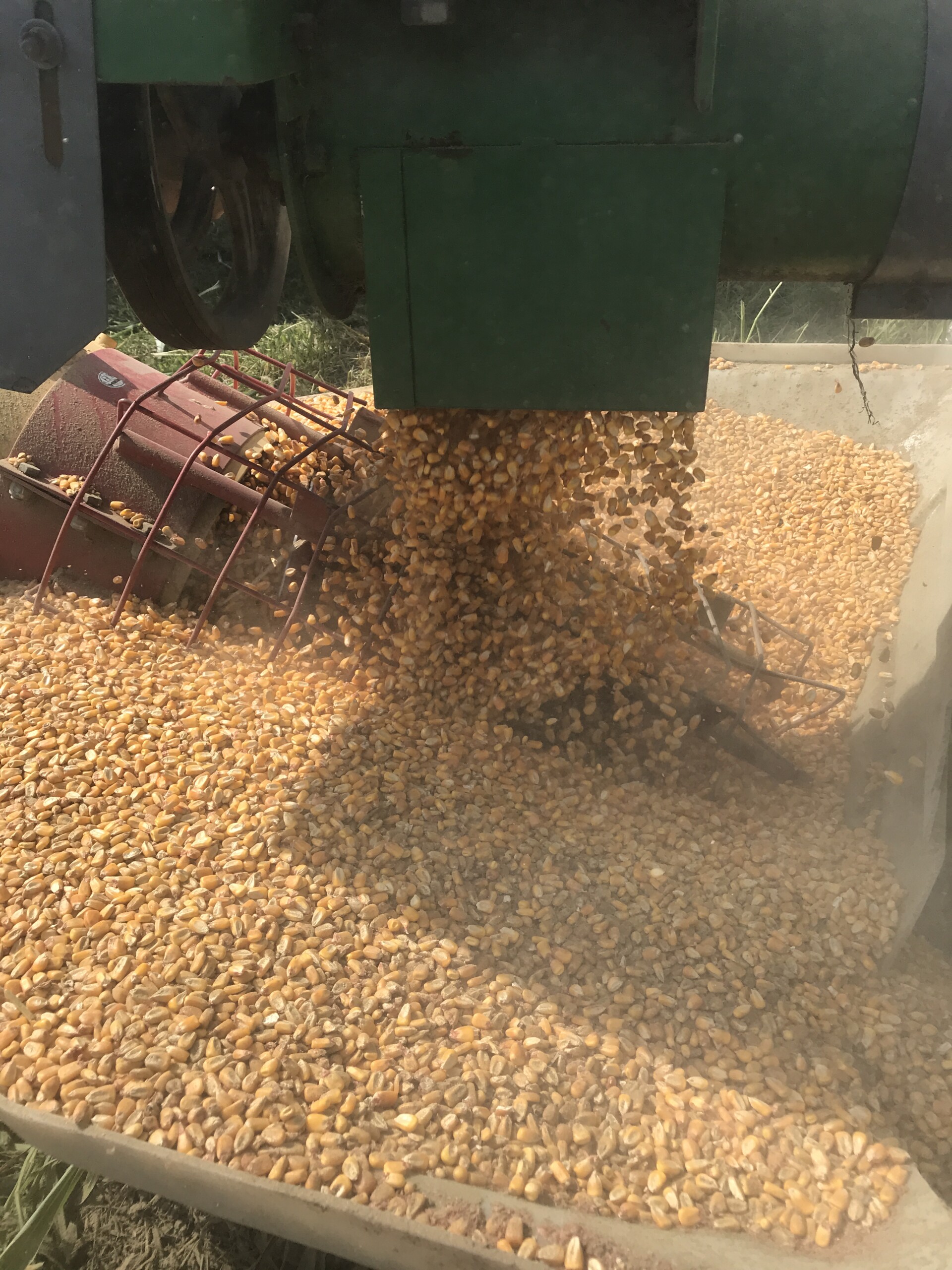 Bunge divests North American corn milling assets to Grain Craft