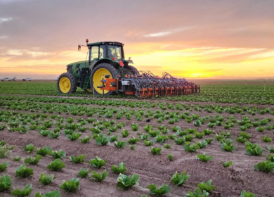 FarmWise to close operations, exploring sale of its AI weeding technology