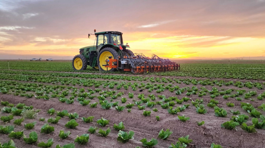 FarmWise to close operations, exploring sale of its AI weeding technology