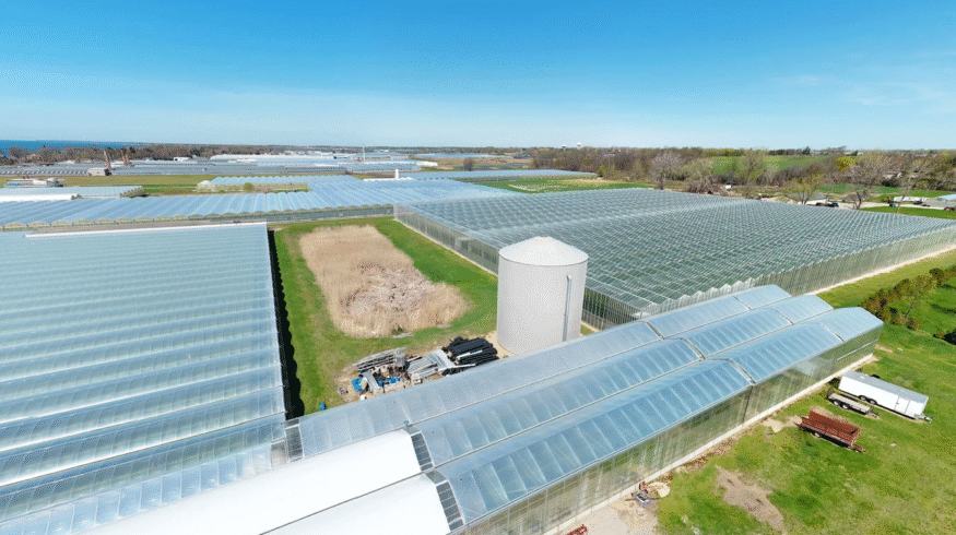 Harmoniz Seeds opens Canadian facility to localize vegetable breeding