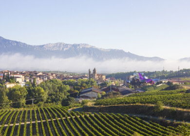 Spanish farmers fight to protect vineyards from soil degradation facing highest in Europe erosion rates