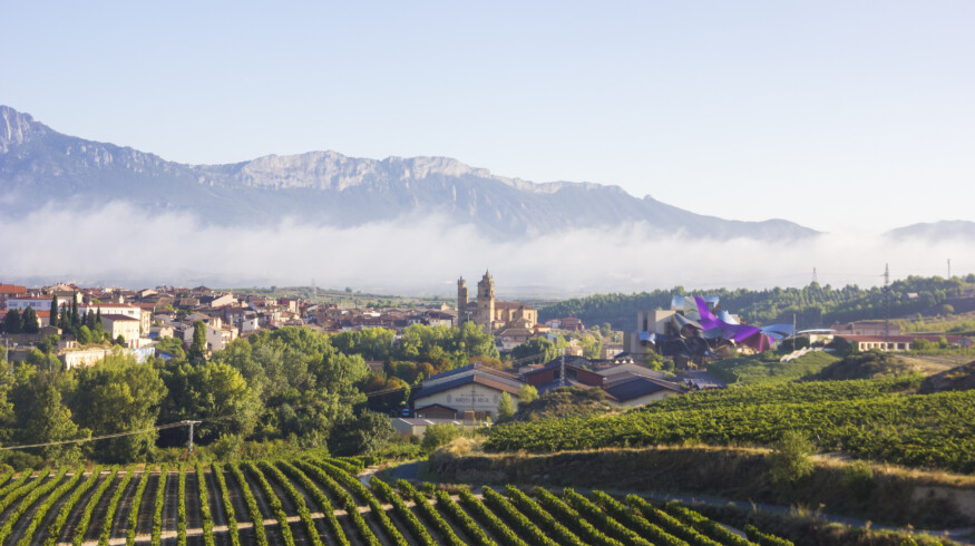 Spanish farmers fight to protect vineyards from soil degradation facing highest in Europe erosion rates