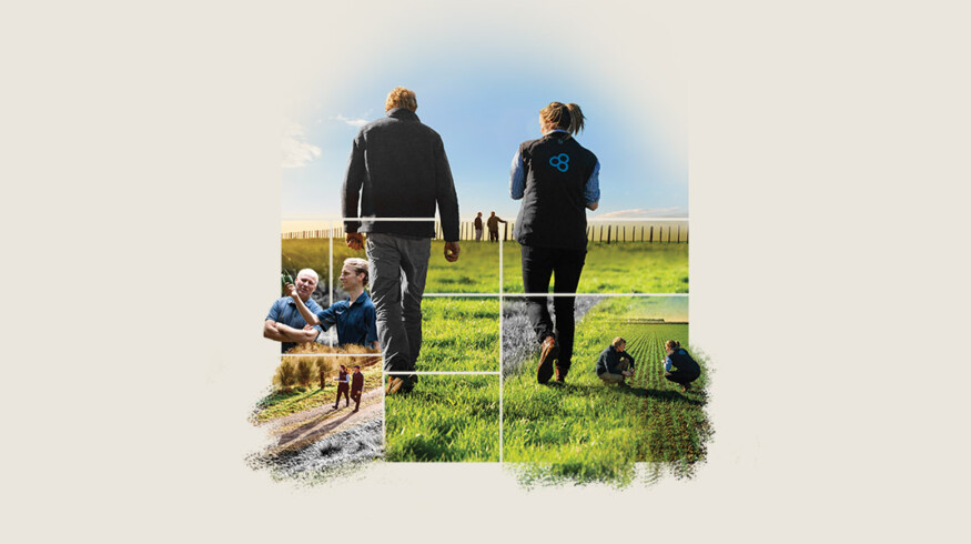Ballance Agri-Nutrients launches AI-based nutrient mapping tool for farmers