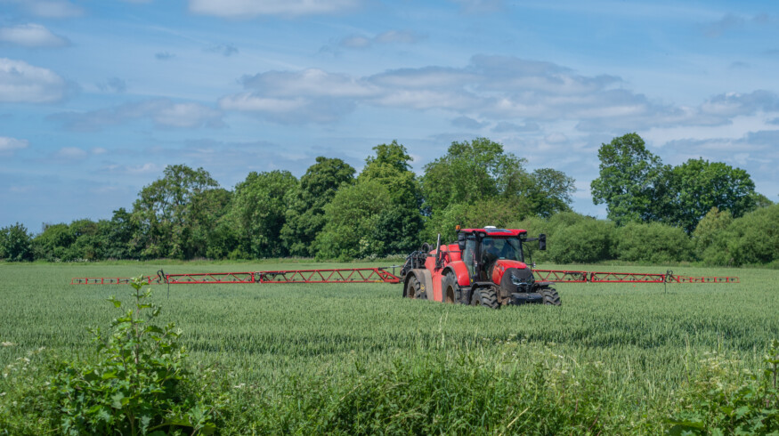 UK farmer adopts mechanical weeding over herbicides