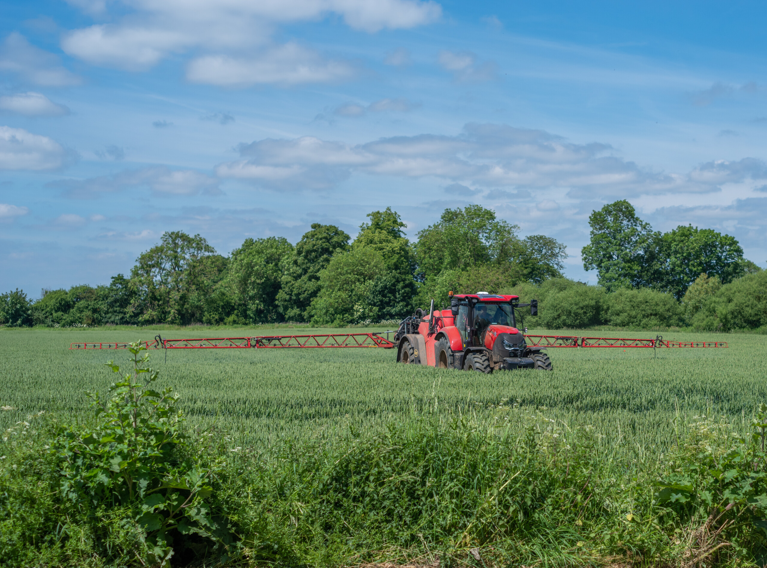 UK farmer adopts mechanical weeding over herbicides