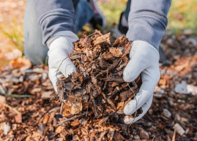 Researchers discovered compost and biochar could enhance carbon capture potential
