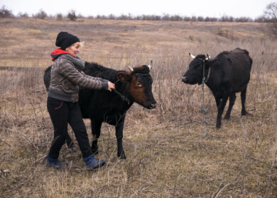 UN launches $150 million recovery plan for Ukraine’s farm sector