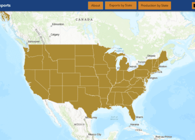U.S. grain exports support $86.2 billion in economic output