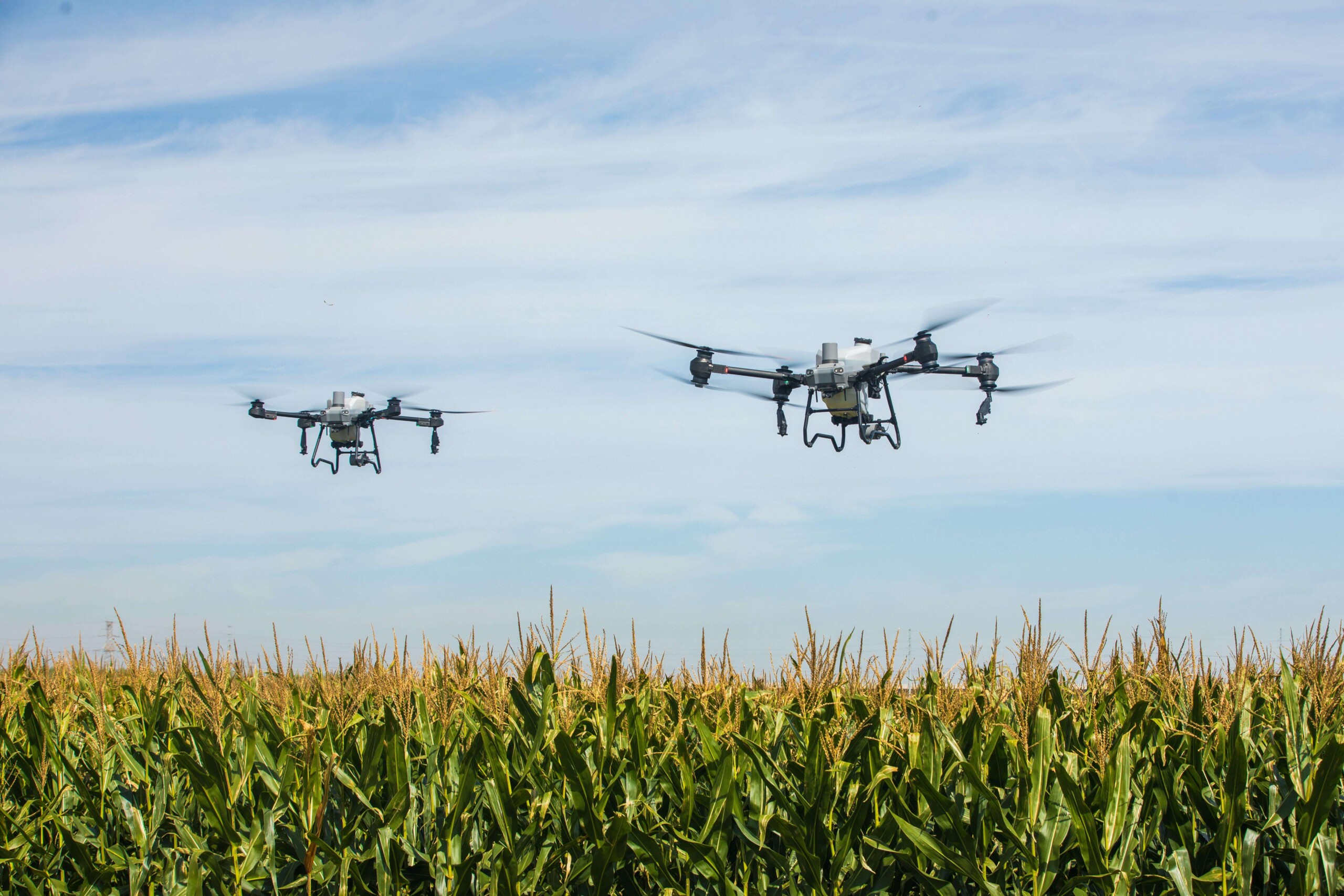 DJI Agriculture sees drone use surge, driven by looser rules and cost benefits