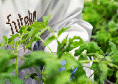 Fyteko expands in Latin America through distribution deal with Point Group