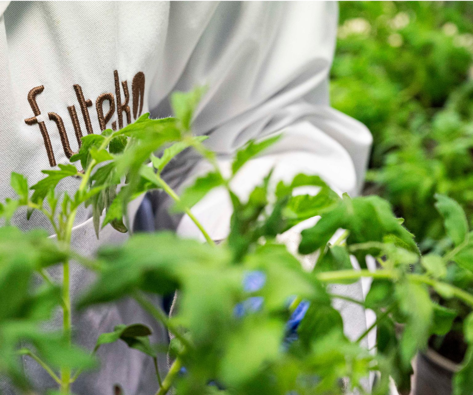 Fyteko expands in Latin America through distribution deal with Point Group