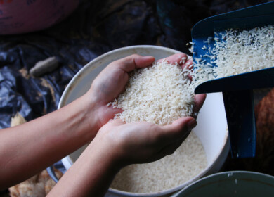 India unveils genome-edited rice varieties aimed at boosting yield