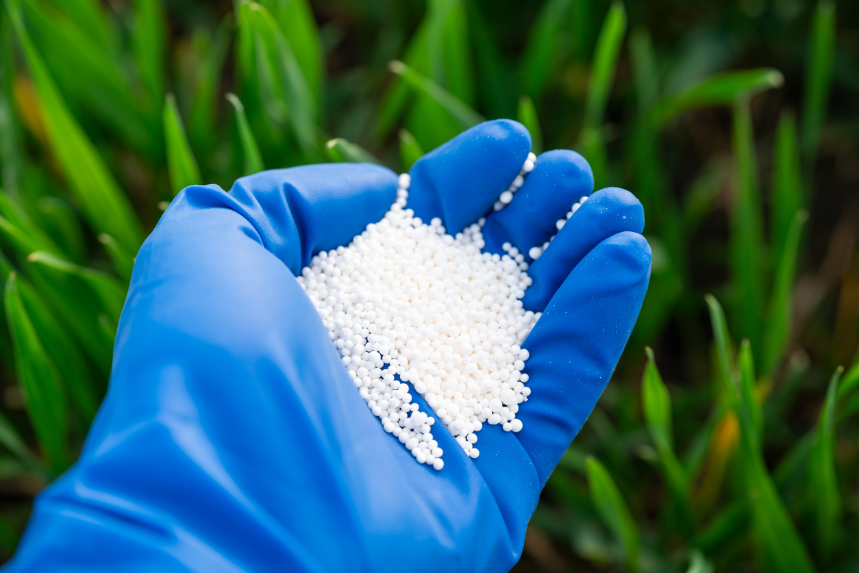 Mexican Ministry of Agriculture distributes 70,000 tons of free fertilizer to over 157,000 producers