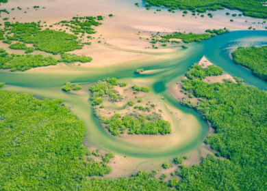 Traditional water harvesting technique revives farmland in Senegal