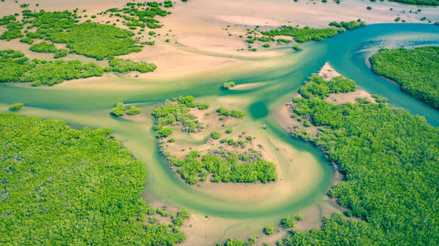 Traditional water harvesting technique revives farmland in Senegal