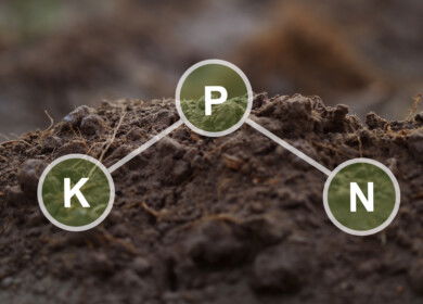 Novel fertilizers show promise for improving agricultural sustainability by increasing nutrient use efficiency