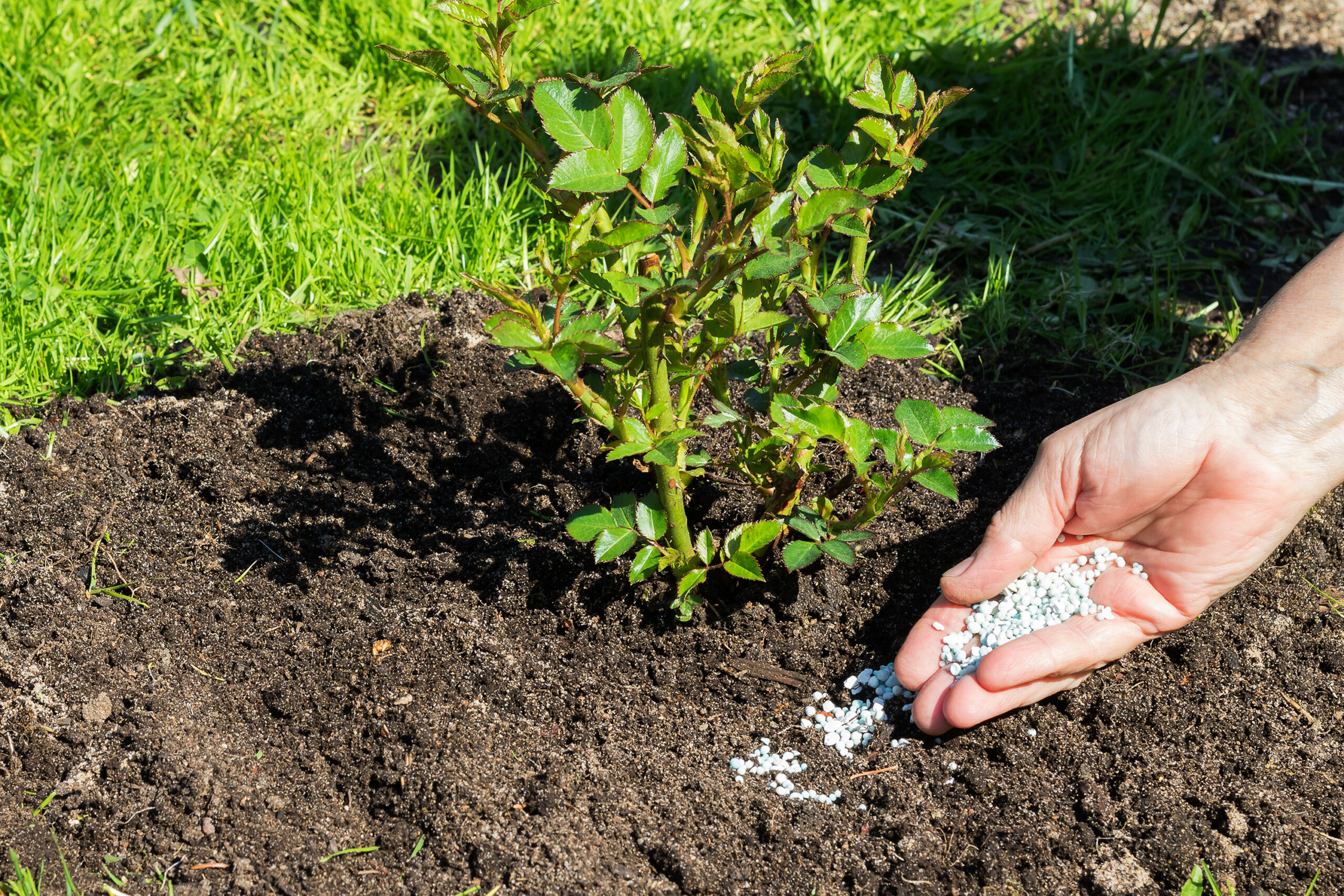 RUSAL begins testing silicon-based fertilizer that may reduce reliance on traditional NPK inputs