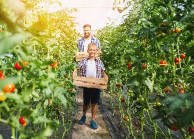 EU funds project to replace chemical pesticides with bio-based alternatives