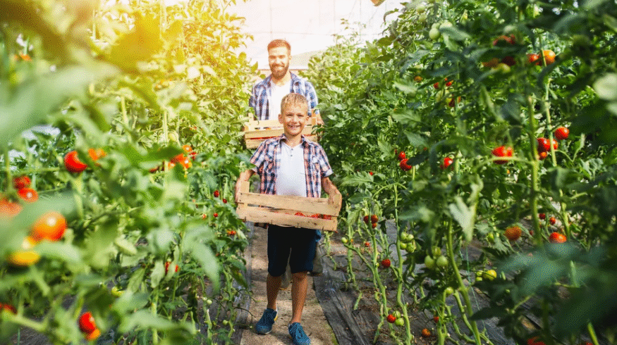 EU funds project to replace chemical pesticides with bio-based alternatives