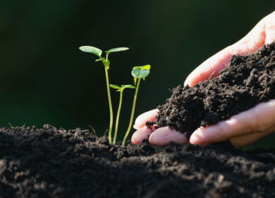 North America organic fertilizer market projected to exceed $4.7 billion by 2035