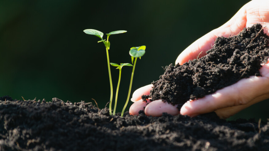North America organic fertilizer market projected to exceed $4.7 billion by 2035