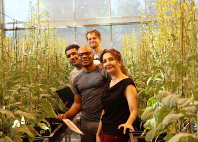 Lucent Bio introduces slow-release boron fertilizer for sustainable crop production