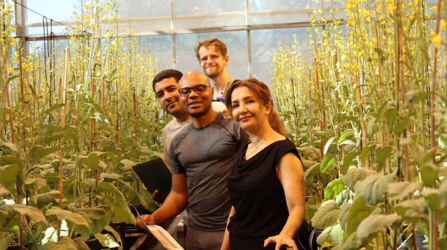 Lucent Bio introduces slow-release boron fertilizer for sustainable crop production