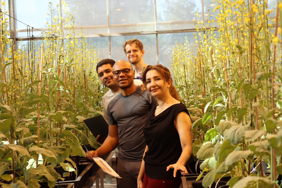 Lucent Bio introduces slow-release boron fertilizer for sustainable crop production