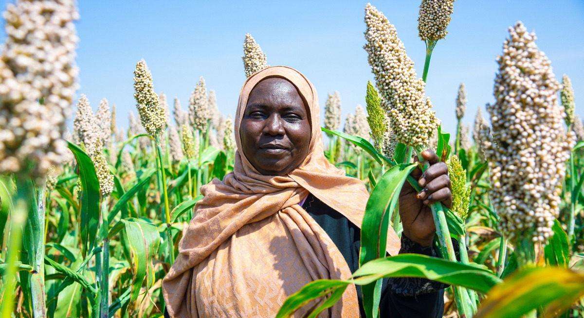FAO warns climate change threatens half of prime growing areas for key crops by 2100