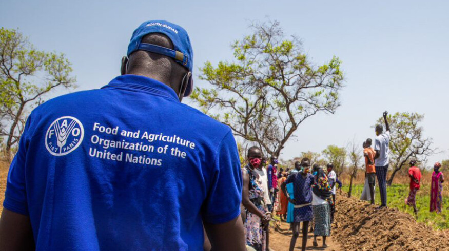 FAO warns of worsening land degradation in the Arab region