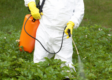 New research links diquat herbicide to gut damage and broader organ toxicity