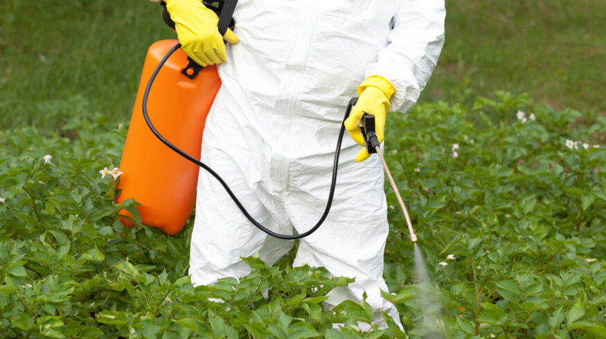 New research links diquat herbicide to gut damage and broader organ toxicity