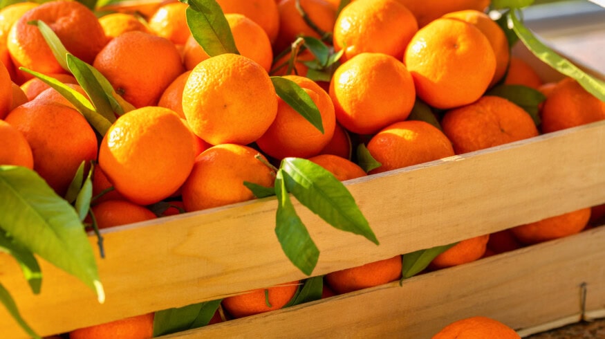 U.S. secures new agricultural trade gains in Brazil, Thailand, and Vietnam