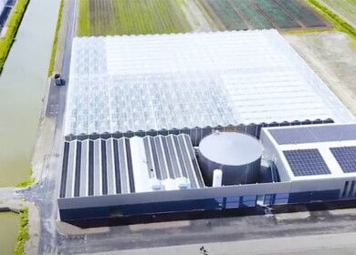 Enza Zaden opens new high-tech cucumber breeding complex and energy center in Netherlands