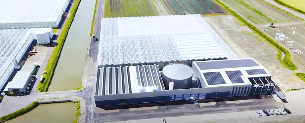 Enza Zaden opens new high-tech cucumber breeding complex and energy center in Netherlands