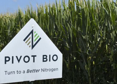 Pivot Bio relocates research to St. Louis from Berkeley