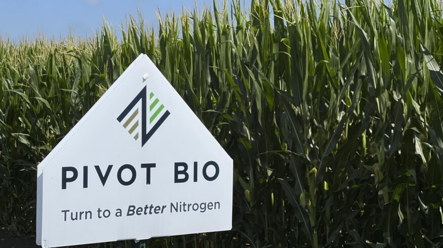 Pivot Bio relocates research to St. Louis from Berkeley