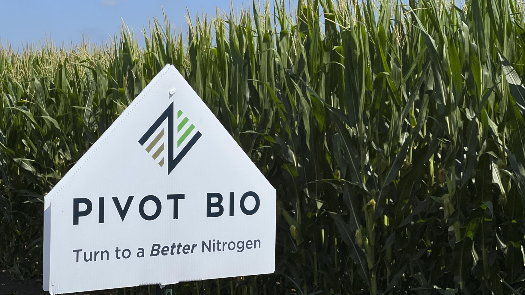 Pivot Bio relocates research to St. Louis from Berkeley