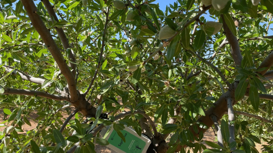 Treetoscope and Nutrien partner to advance precision irrigation in the Americas