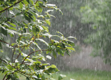 Relentless spring rains leave Southern U.S. farmers with historic prevent plant losses
