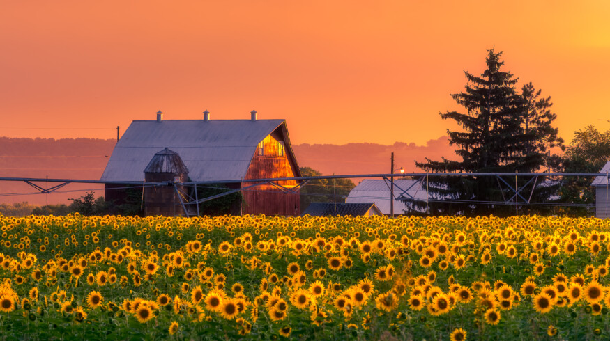 Farm succession becomes more complex amid aging demographics and high entry costs