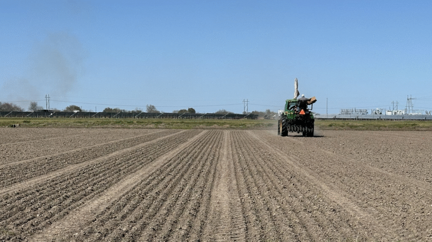Wilbur-Ellis partners with Talam Biotech to tackle heavy metals in crops