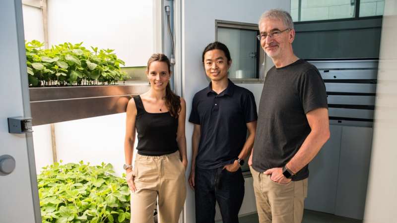 Vertical farming seen as a key to higher yields and lower environmental impact